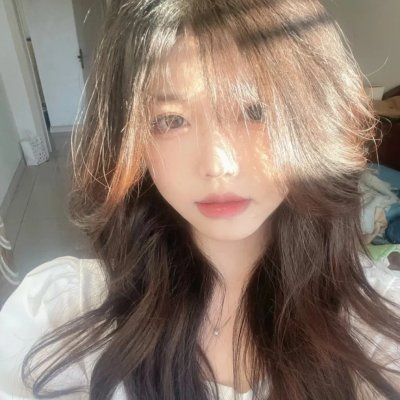 狮子护卫队第二季